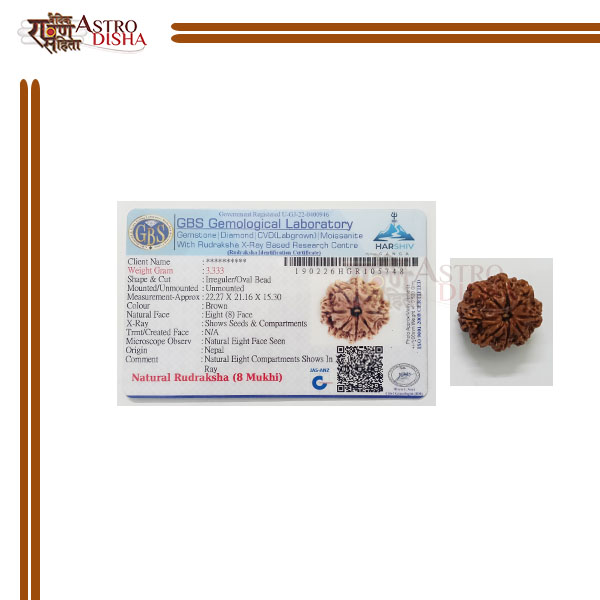 8 Mukhi / Nepali Rudraksha | Eight Face / Ganesh Rudraksha